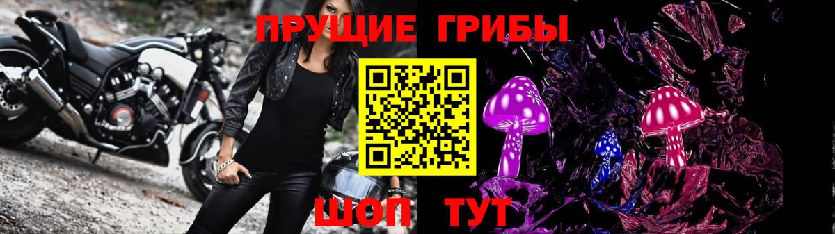 Кызыл  Псилоцибиновые грибы Psilocybe  Вход с VPN  Галлюциногенные грибы ЛСД 